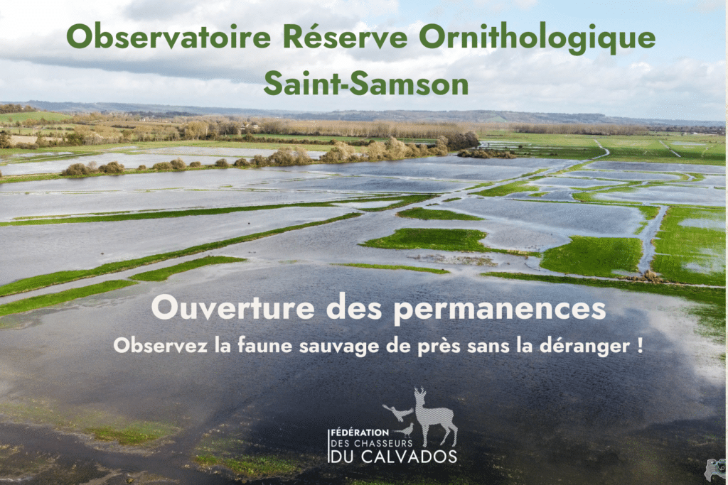 Réserve ornithologique Saint-Samson - Dates des permanences - FDC 14